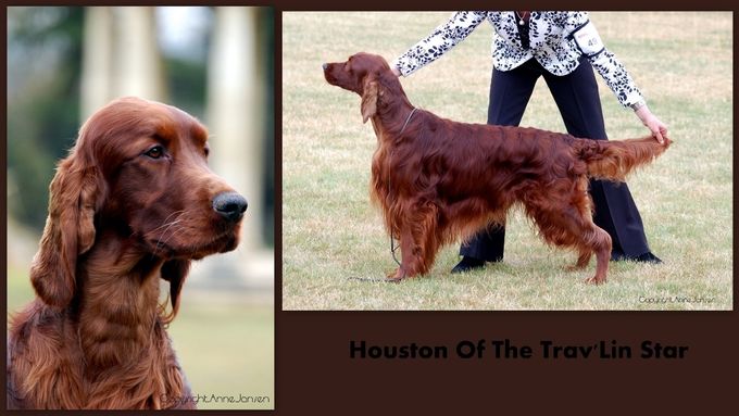 Houston of the Travlin Star