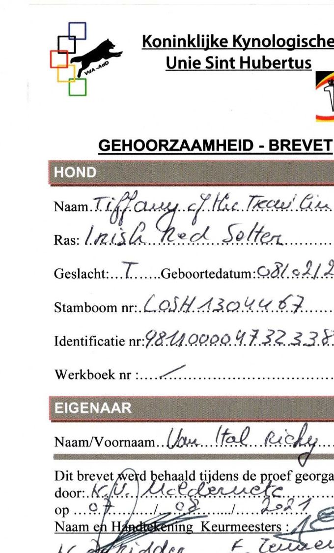 TIFFANY GESLAAGD VOOR BREVET
