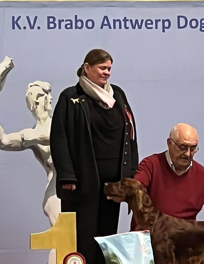 dogshow antwerpen 2022 best in group7 jugds Lvan Genechten