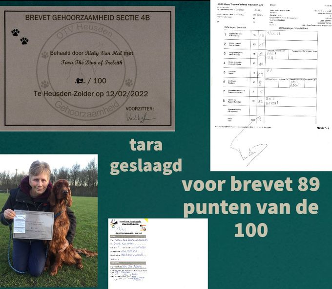 Tara geslaagd voor Brevet